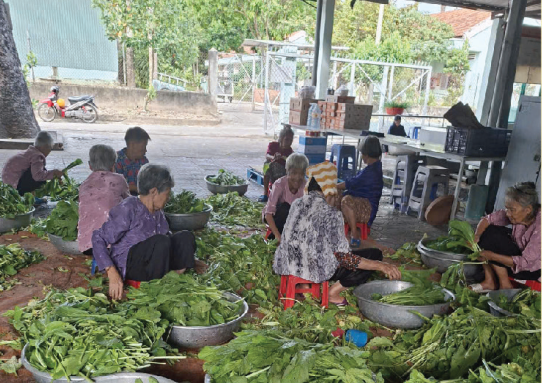 Hoạt động chăm sóc và sinh hoạt tại Trung tâm Bảo trợ xã hội Chánh Phú Hòa